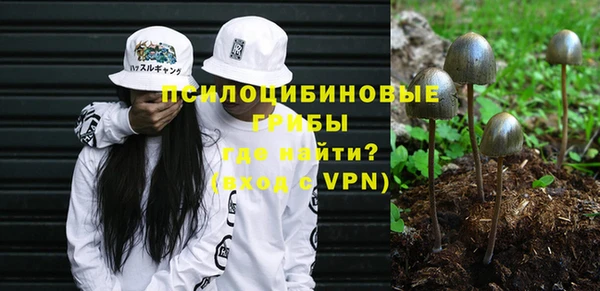 винт Алексеевка