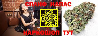 крисы Кинель