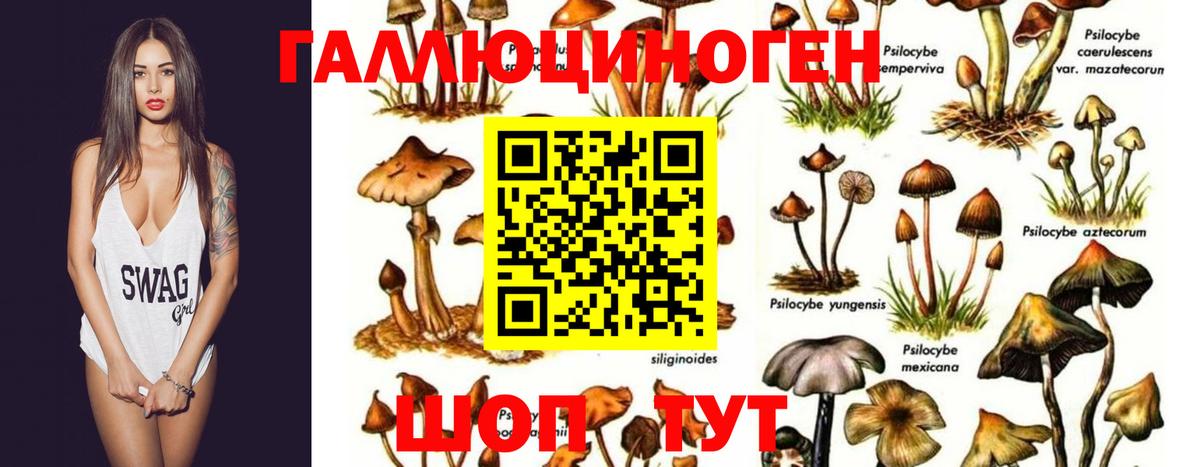 Псилоцибиновые грибы прущие грибы Учалы