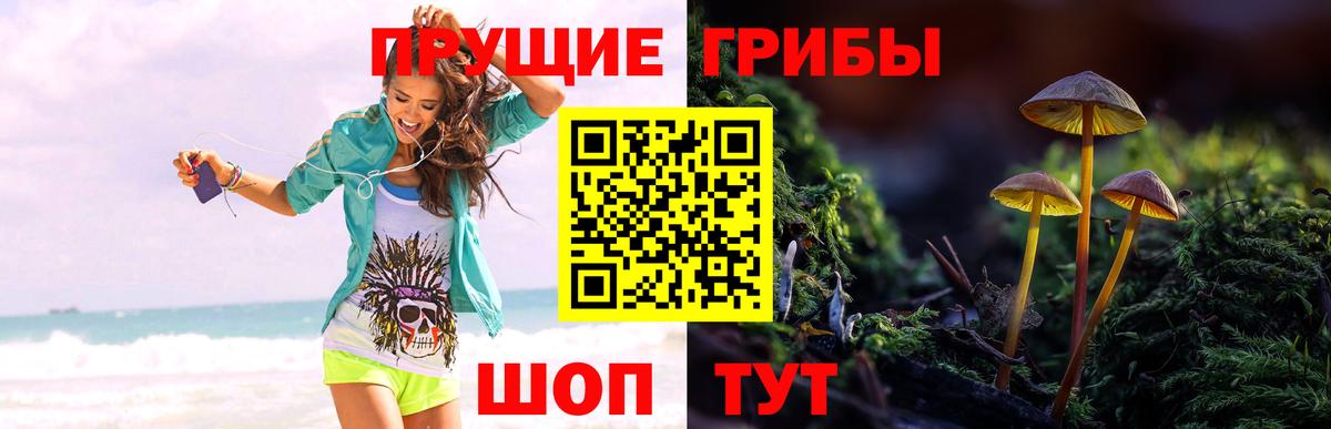 Галлюциногенные грибы Magic Shrooms  где продают   Учалы  Вход с VPN 